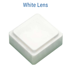 White Lens